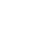 increase in organic leads icon